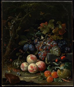 Naturaleza muerta con frutas, follaje e insectos, c.1669